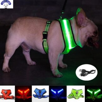 Arnés luminoso led, recarga Usb, reflectante y brillante, chaleco para mascotas